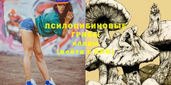 герыч Сафоново