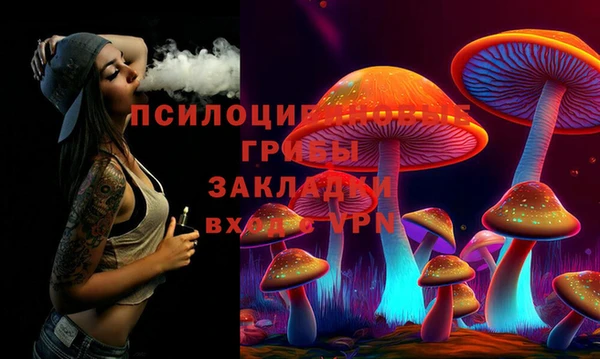 гидропоника Пыталово