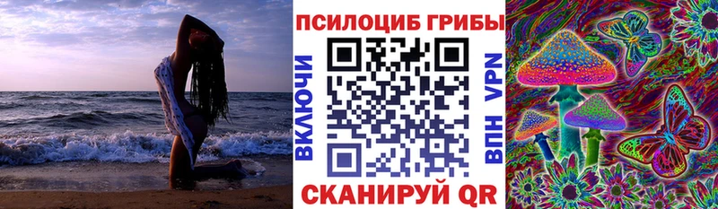 где купить наркоту  Суоярви  Псилоцибиновые грибы Cubensis 
